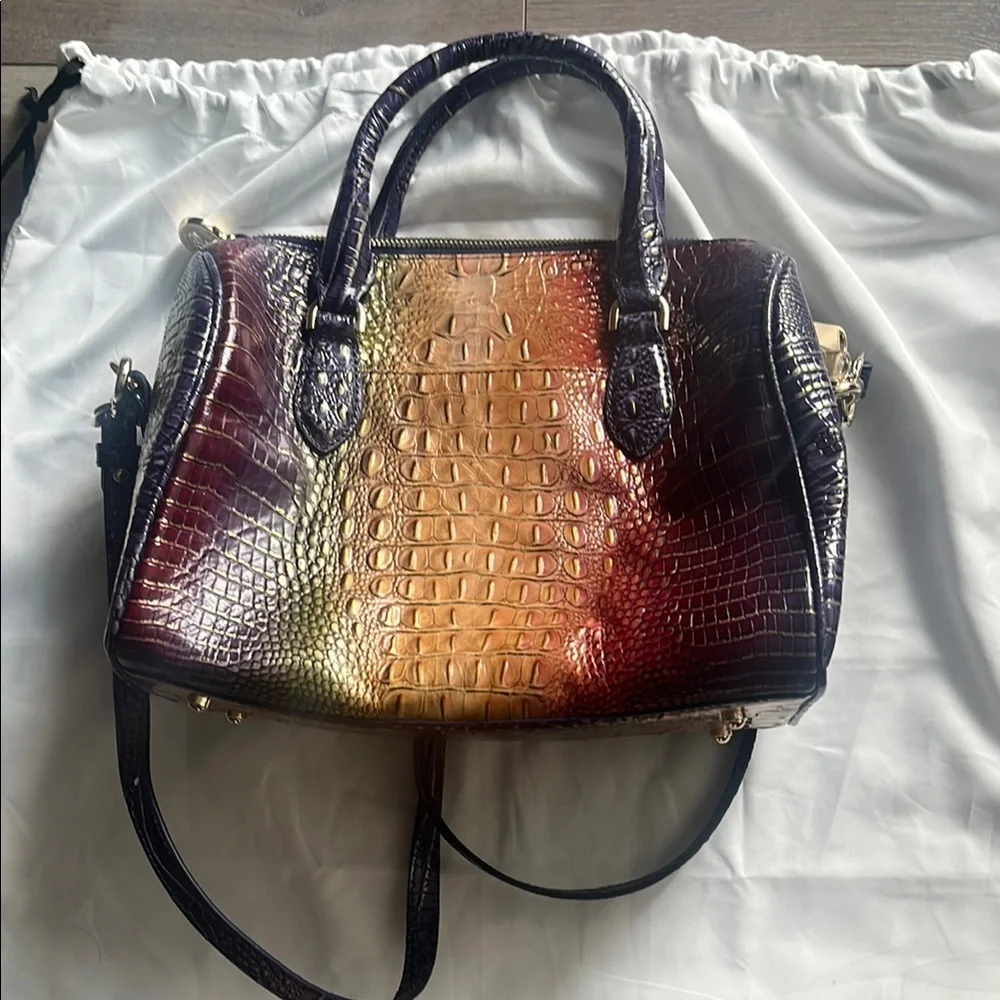 Brahmin Autumn Ombre Mini Melbourne - Picture 4 of 13